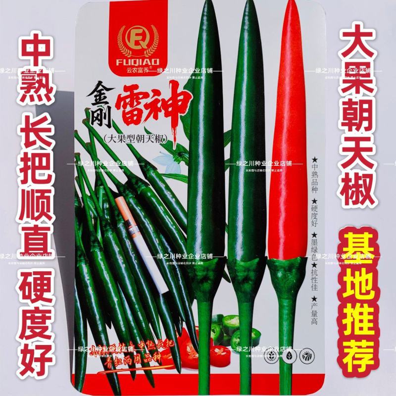 升级黑绿色金刚雷神朝天椒种子大号青红两用长把朝天椒种籽