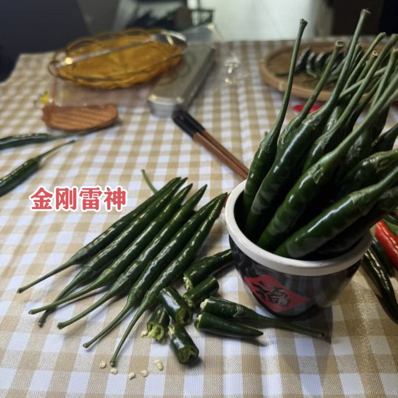 升级黑绿色金刚雷神朝天椒种子大号青红两用长把朝天椒种籽