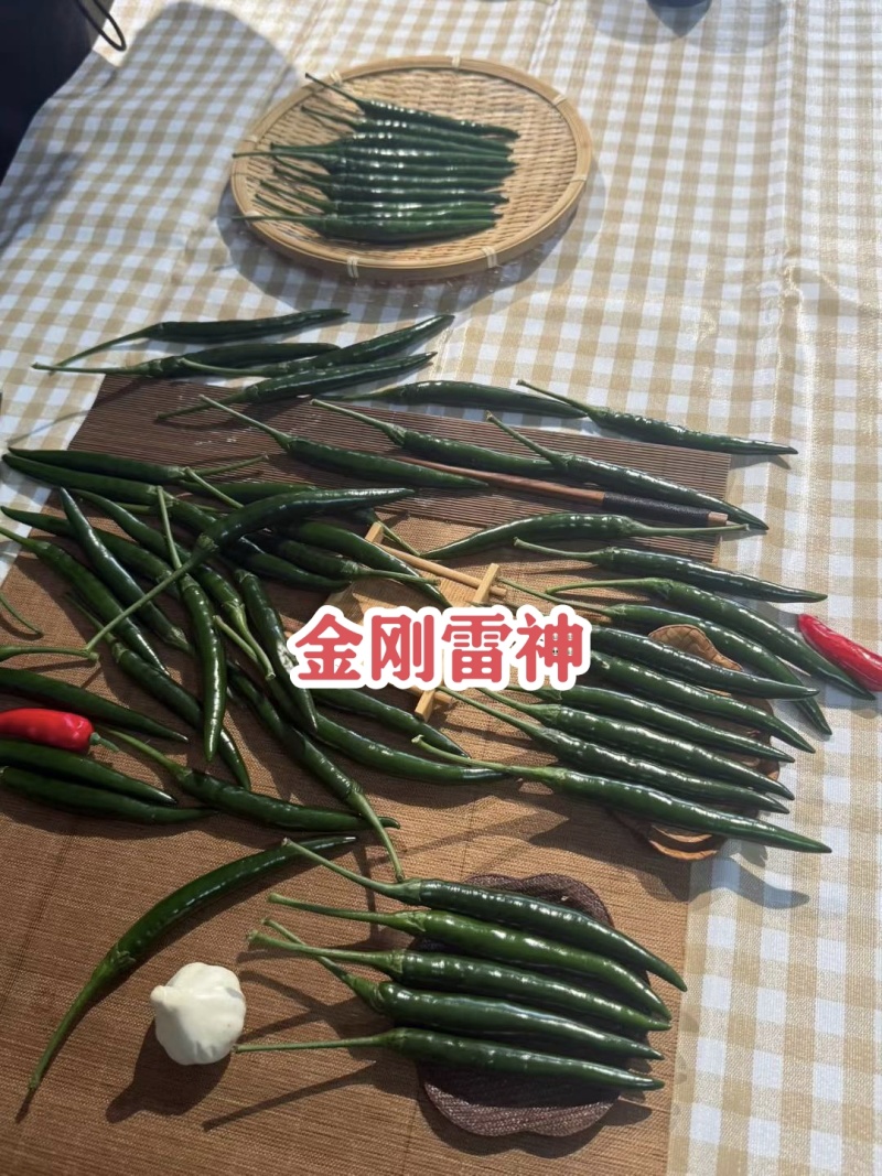 升级黑绿色金刚雷神朝天椒种子大号青红两用长把朝天椒种籽