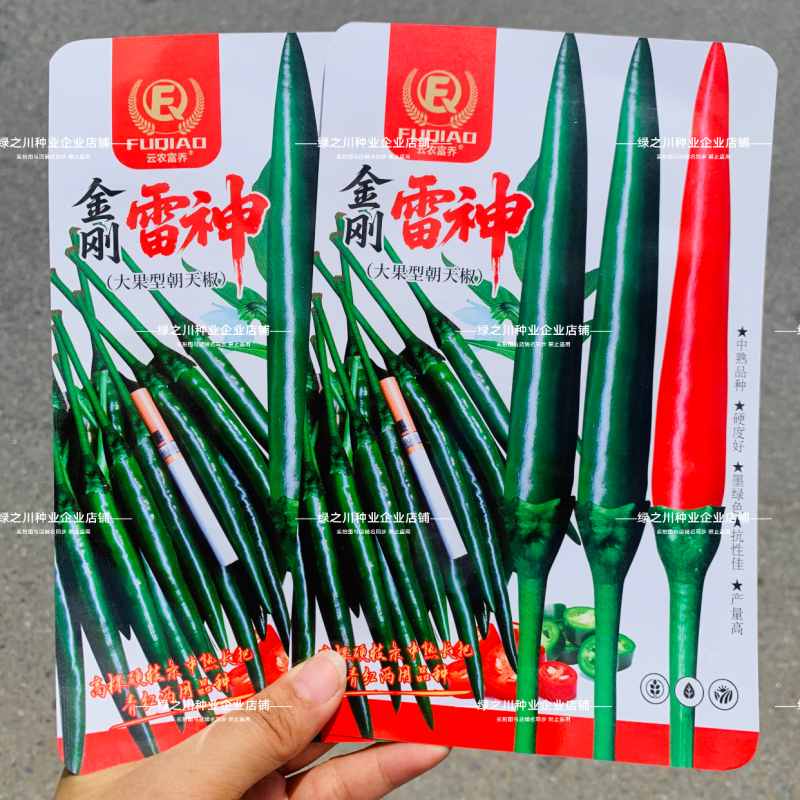升级黑绿色金刚雷神朝天椒种子大号青红两用长把朝天椒种籽