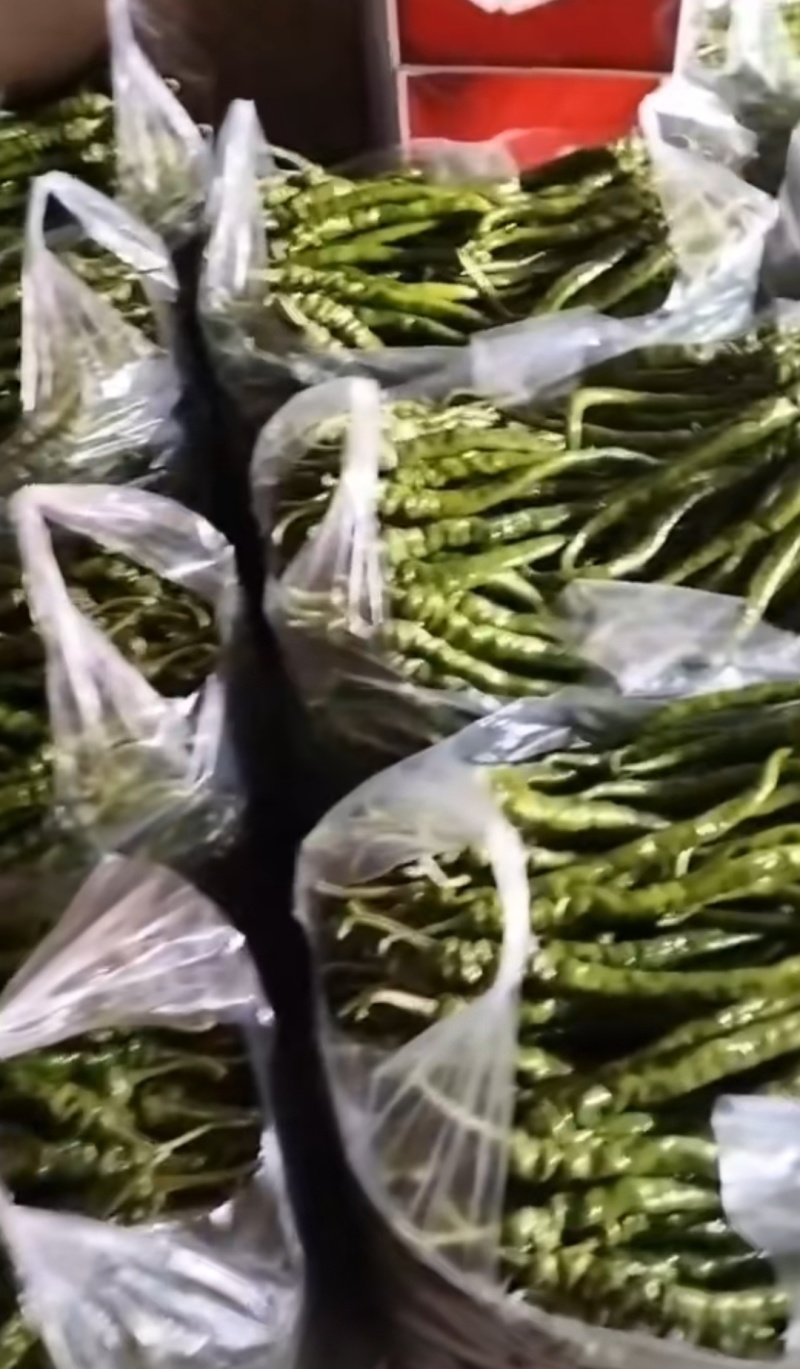 精品螺线辣椒