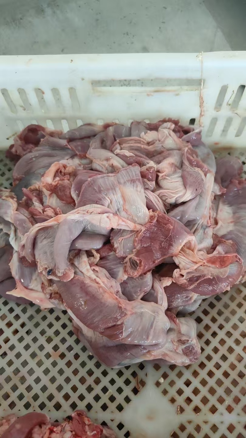 【羊天蓬肉】草地羊的护心肉！鲜冻纯干货，煎炒烹炸均可！