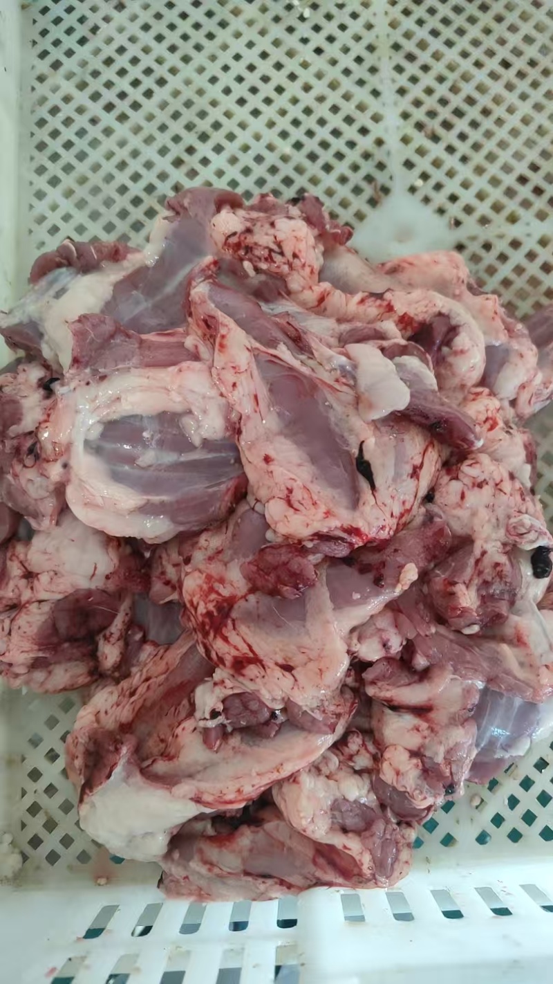 【羊脖肉】绵羊的脖头肉小肉！新鲜速冻！袋装五十斤全国发货
