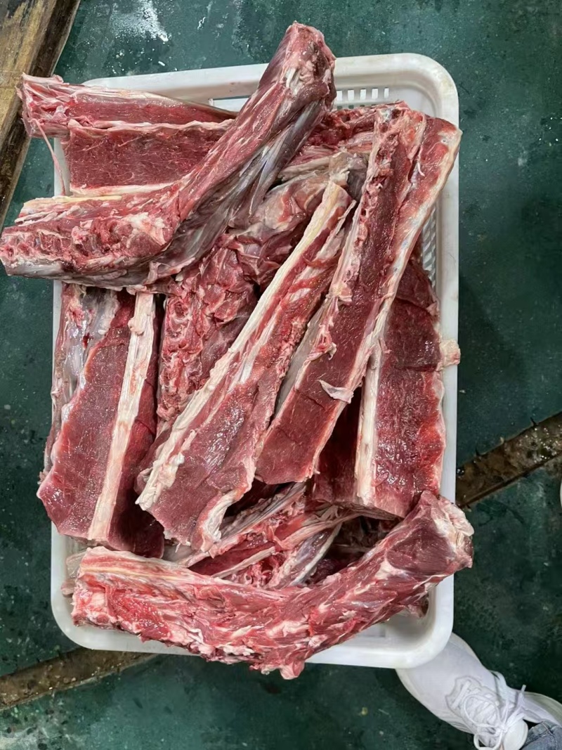 满肉羊蝎子