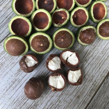 夏威夷果