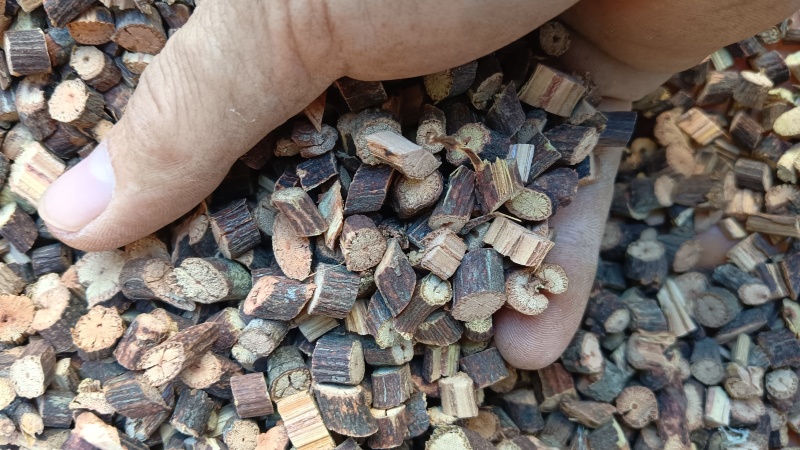 广西夜交藤中药材中粒薄片都有基地直供品质优可视频