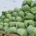 湖北扁包菜/莲花白/湖北包菜/卷心菜/