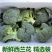湖北西兰花/湖北菜花/青梗西兰花/绿色菜花