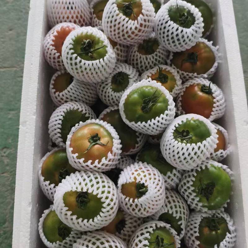 草莓西红柿，草莓番茄，源头货源，
