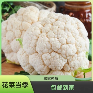 青梗白面菜花/湖北白花菜/松花菜/大米粒花菜