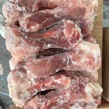 后棒骨