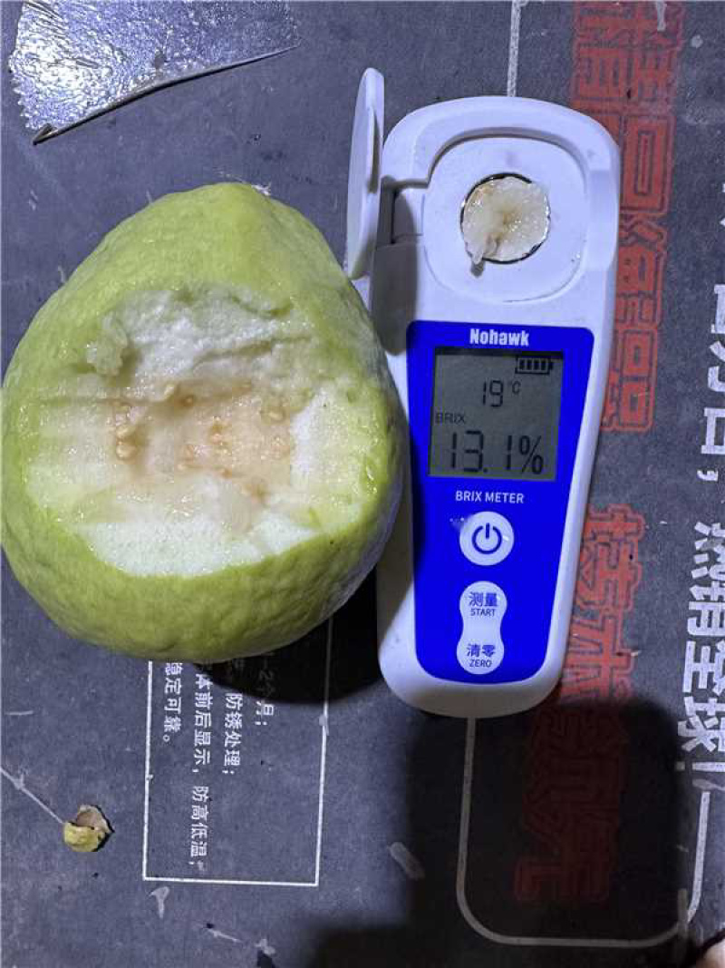 白心芭乐品质保证大量有货产地直销价格优惠