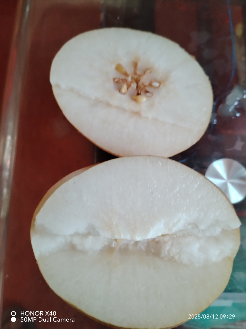 秋月梨