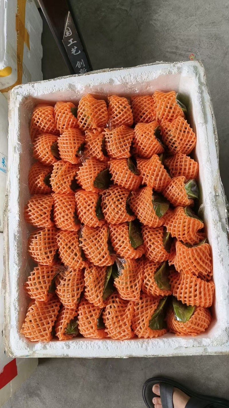 杨桃