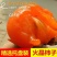 七月黄柿子/陕西柿子/陕西渭南大荔柿子/产区发货
