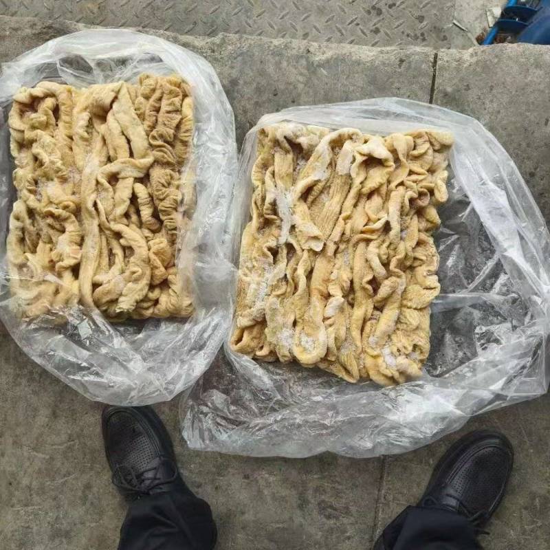 一级精冻预煮大肠去油85%以上纯干货！