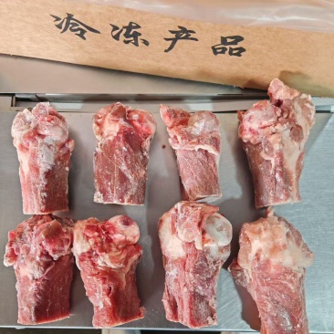 标准后筒骨