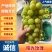 【葡萄】精品阳光玫瑰，山东沂源葡萄全国发货