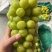 【葡萄】精品阳光玫瑰，山东沂源葡萄全国发货