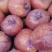 山东红富士苹果，偏红，条红75mm以上，量大质优精品苹果