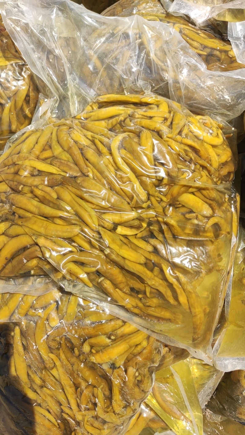 泡辣椒，杭椒，红杭椒，线椒，好产量，好品质，加工厂直供