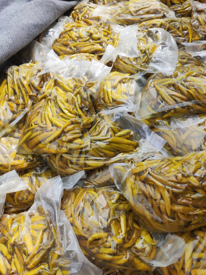 泡辣椒，杭椒，红杭椒，线椒，好产量，好品质，加工厂直供