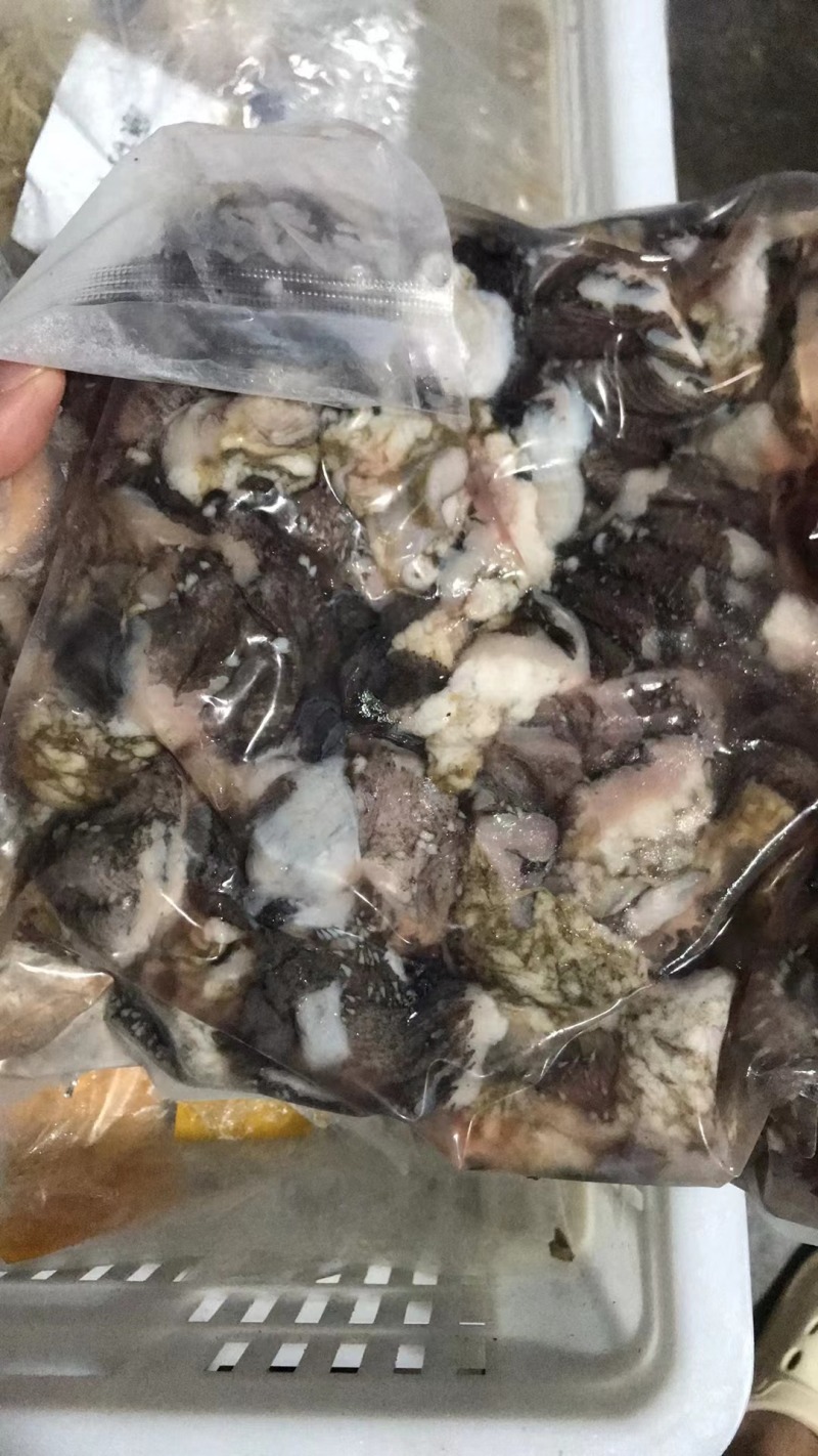 毛肚头子。地板