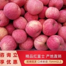 正宗沂源红富士冰糖心！大量上市欢迎各地客商前来采购！