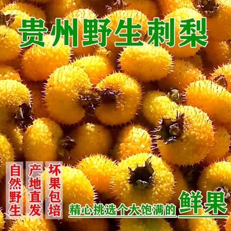 贵州野生刺梨