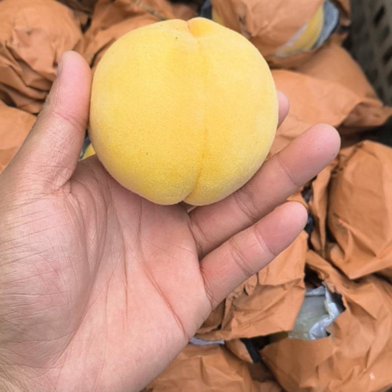 黄中黄黄桃