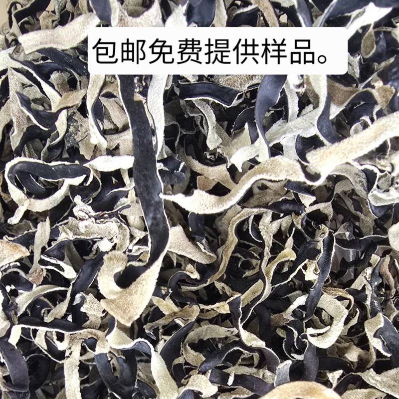 包邮免费提供样品木耳丝毛木耳厂家不满意包退