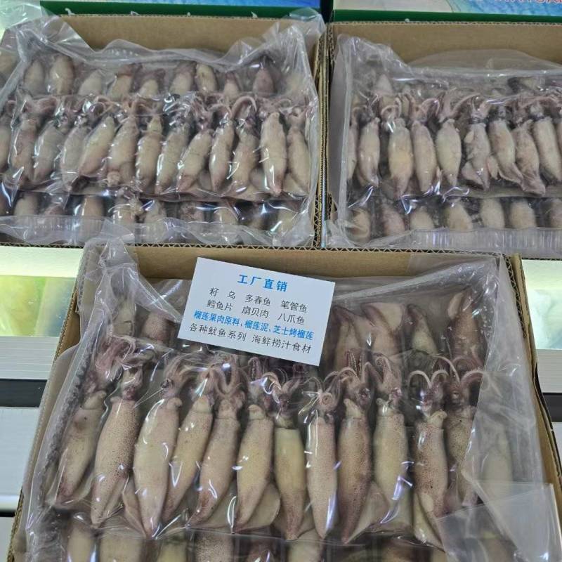 捞汁小海鲜食材小籽乌0.5毛钱左右一条加州原