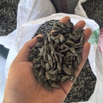 软厚黑糯黑龙江一手货源黑木耳对接全国市场热卖中1