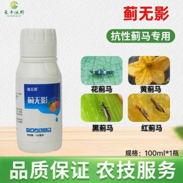 蓟无影蓟马专用助剂效果好黄蓟马黑蓟马花蓟马蔬菜果树等大田