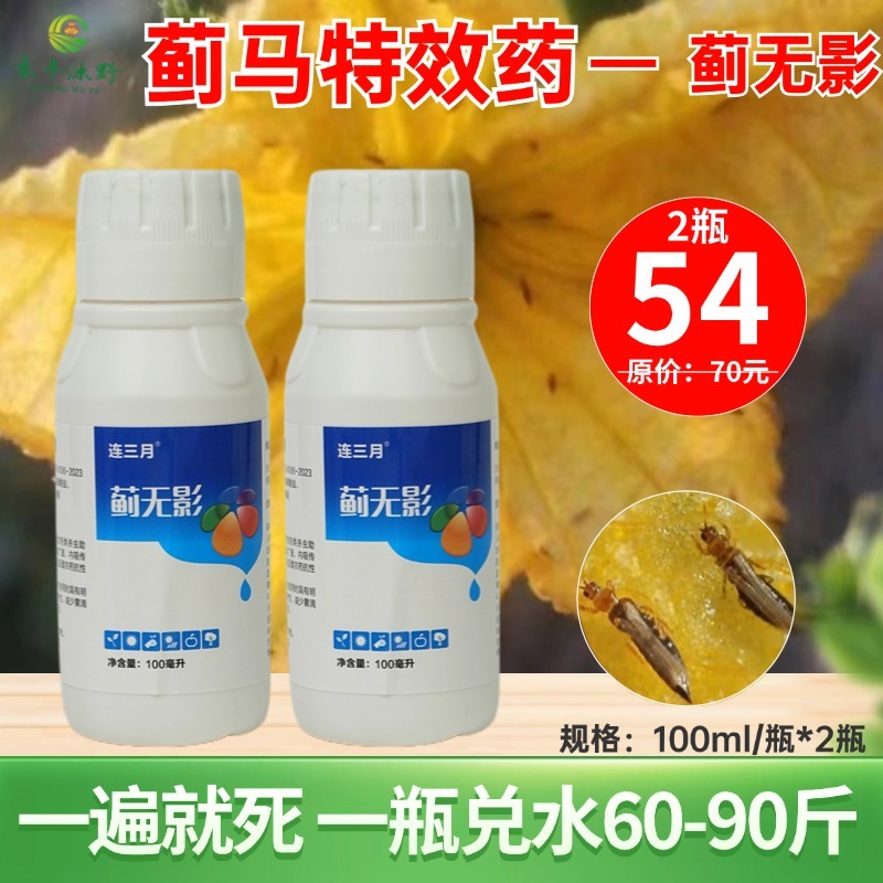 蓟无影蓟马专用助剂效果好黄蓟马黑蓟马花蓟马蔬菜果树等大田