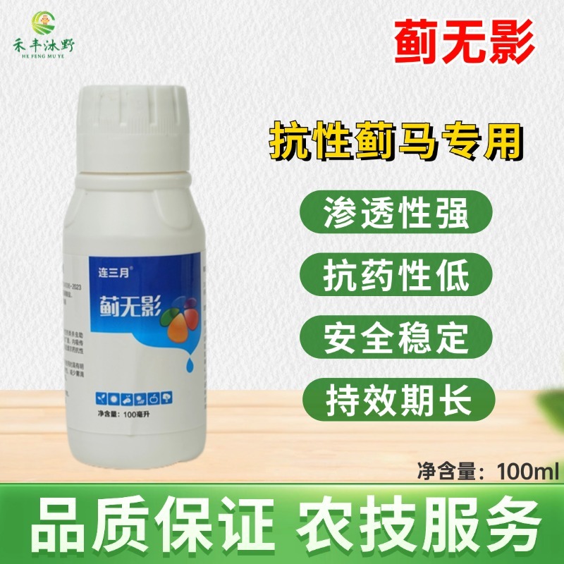 蓟无影蓟马专用助剂效果好黄蓟马黑蓟马花蓟马蔬菜果树等大田