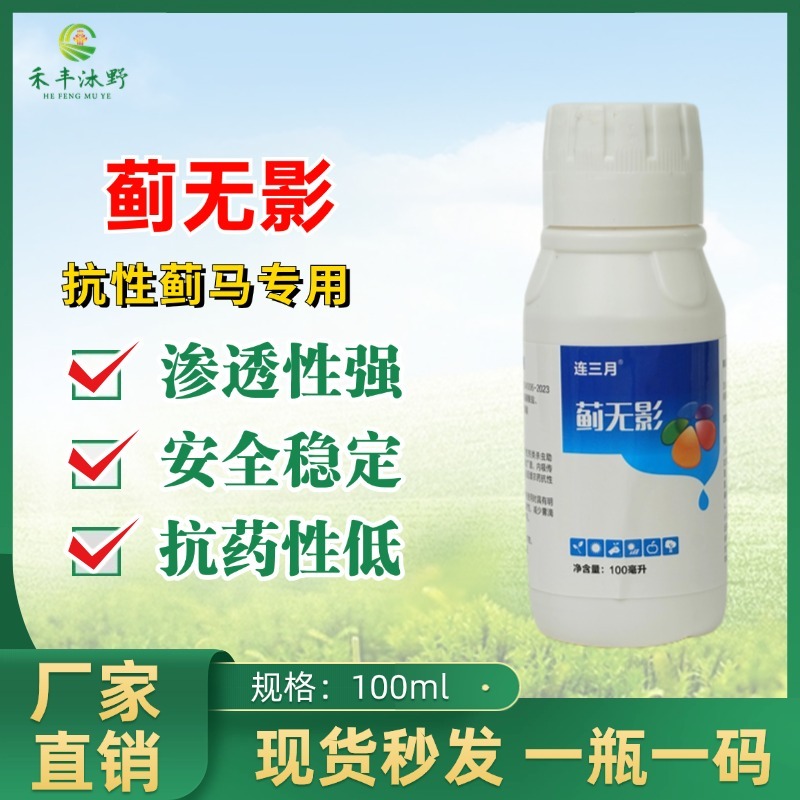蓟无影蓟马专用助剂效果好黄蓟马黑蓟马花蓟马蔬菜果树等大田