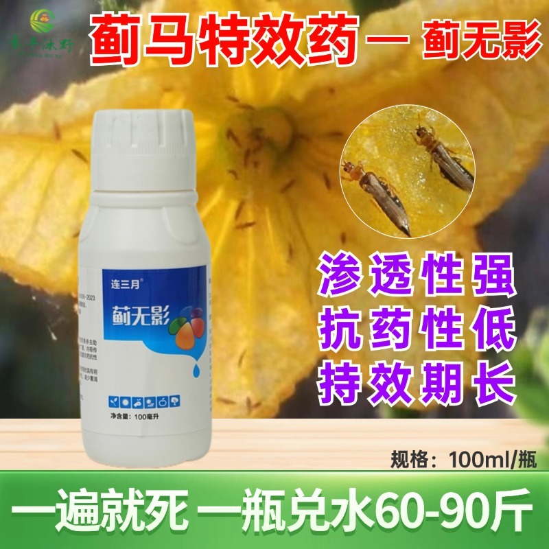蓟无影蓟马专用助剂效果好黄蓟马黑蓟马花蓟马蔬菜果树等大田