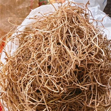 新鲜红薯梗