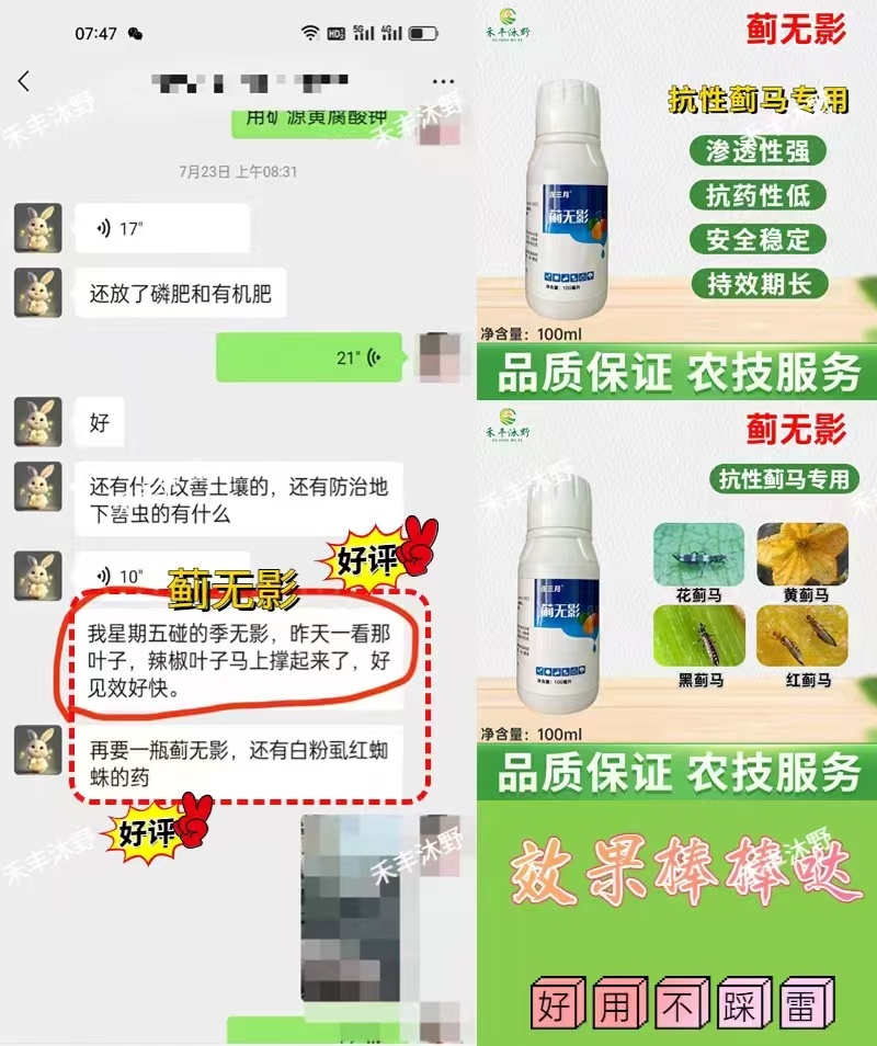 蓟无影蓟马专用助剂效果好黄蓟马黑蓟马花蓟马蔬菜果树等大田