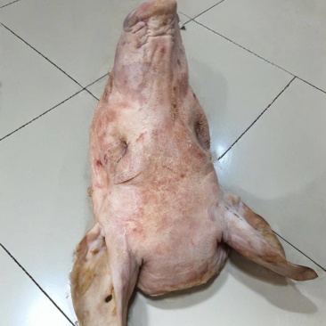 整猪头，带骨整猪头，精修猪头，精修三角头
