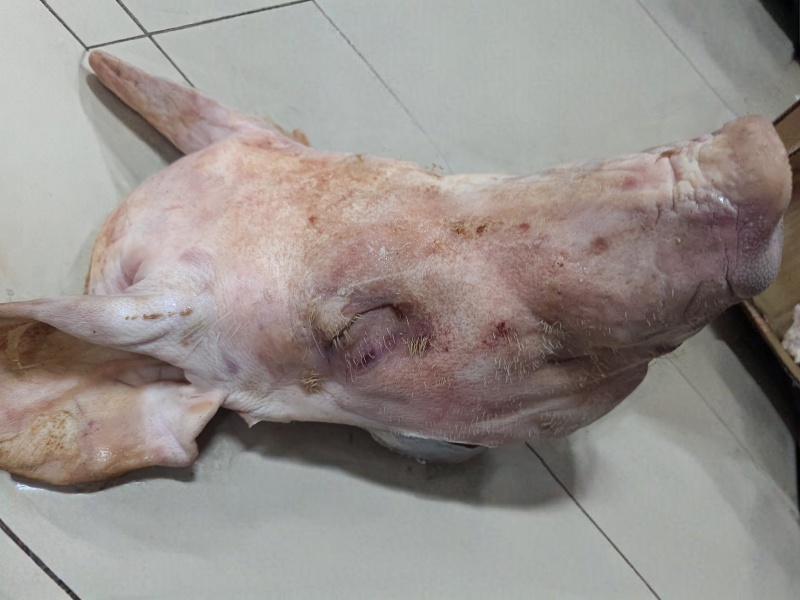 整猪头，带骨整猪头，精修猪头，精修三角头