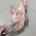 整猪头，带骨整猪头，精修猪头，精修三角头
