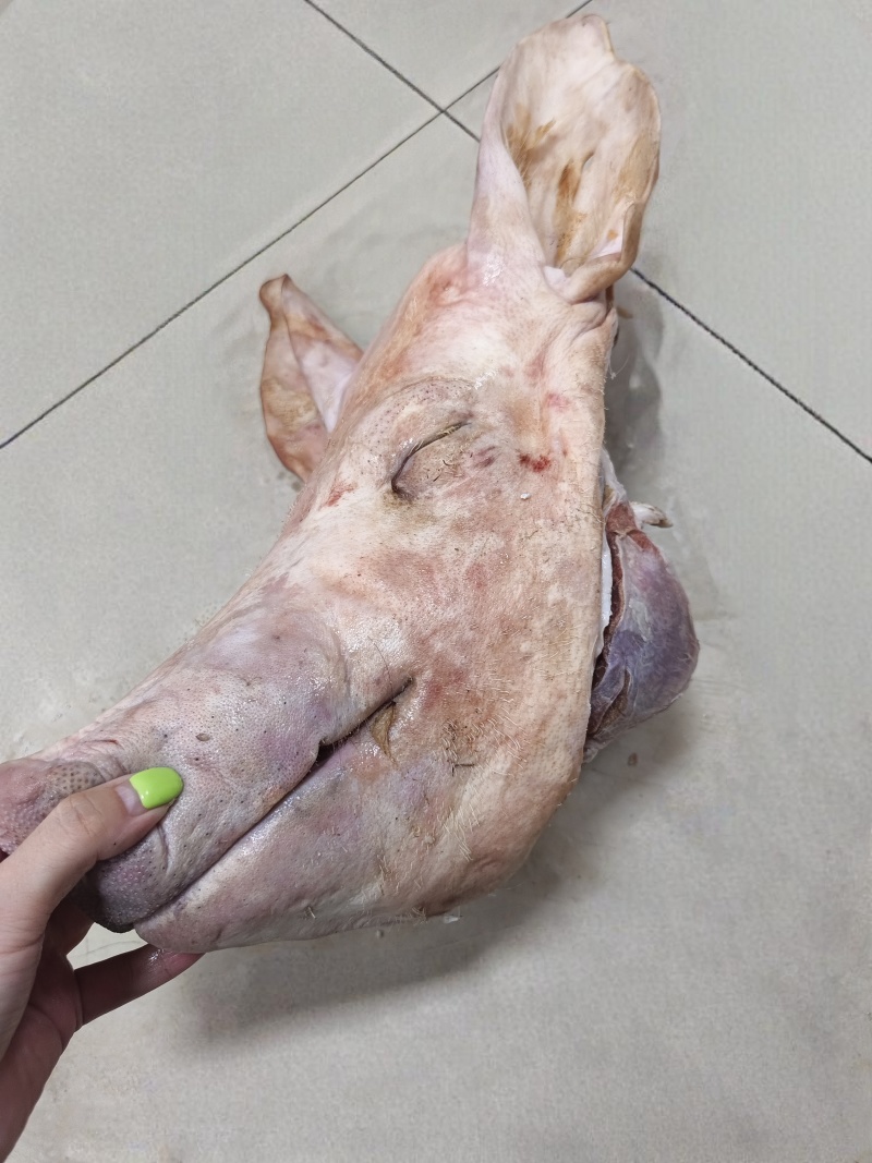 整猪头，带骨整猪头，精修猪头，精修三角头