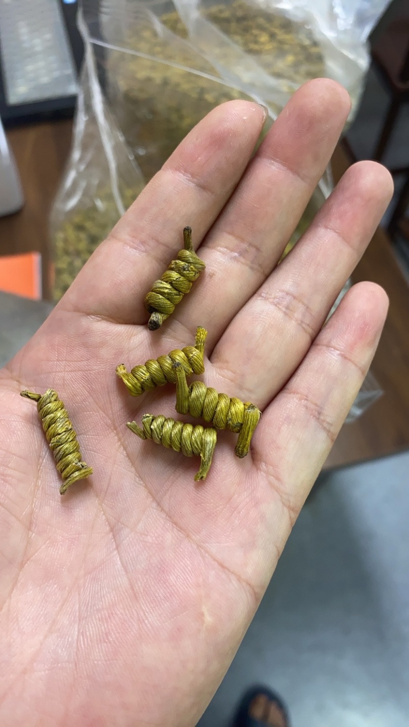 石斛、铁皮石斛、石斛、霍山石斛，霍山铁皮石斛