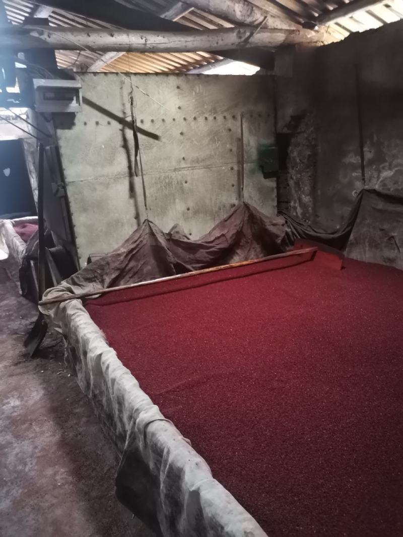 红曲米批发
