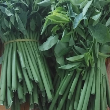 新鲜树仔菜。