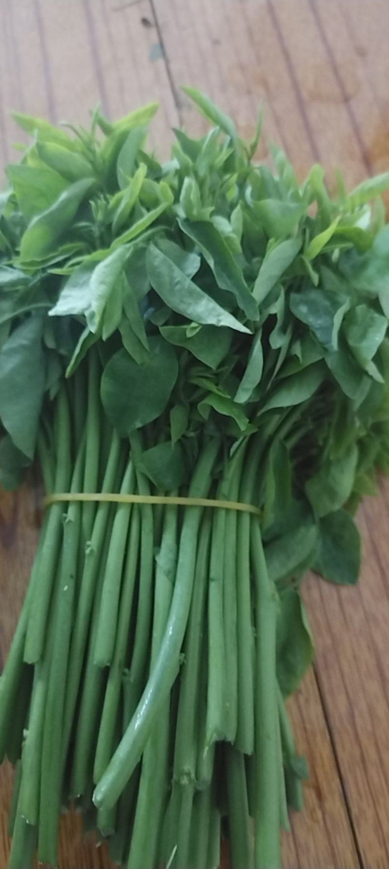 新鲜树仔菜。