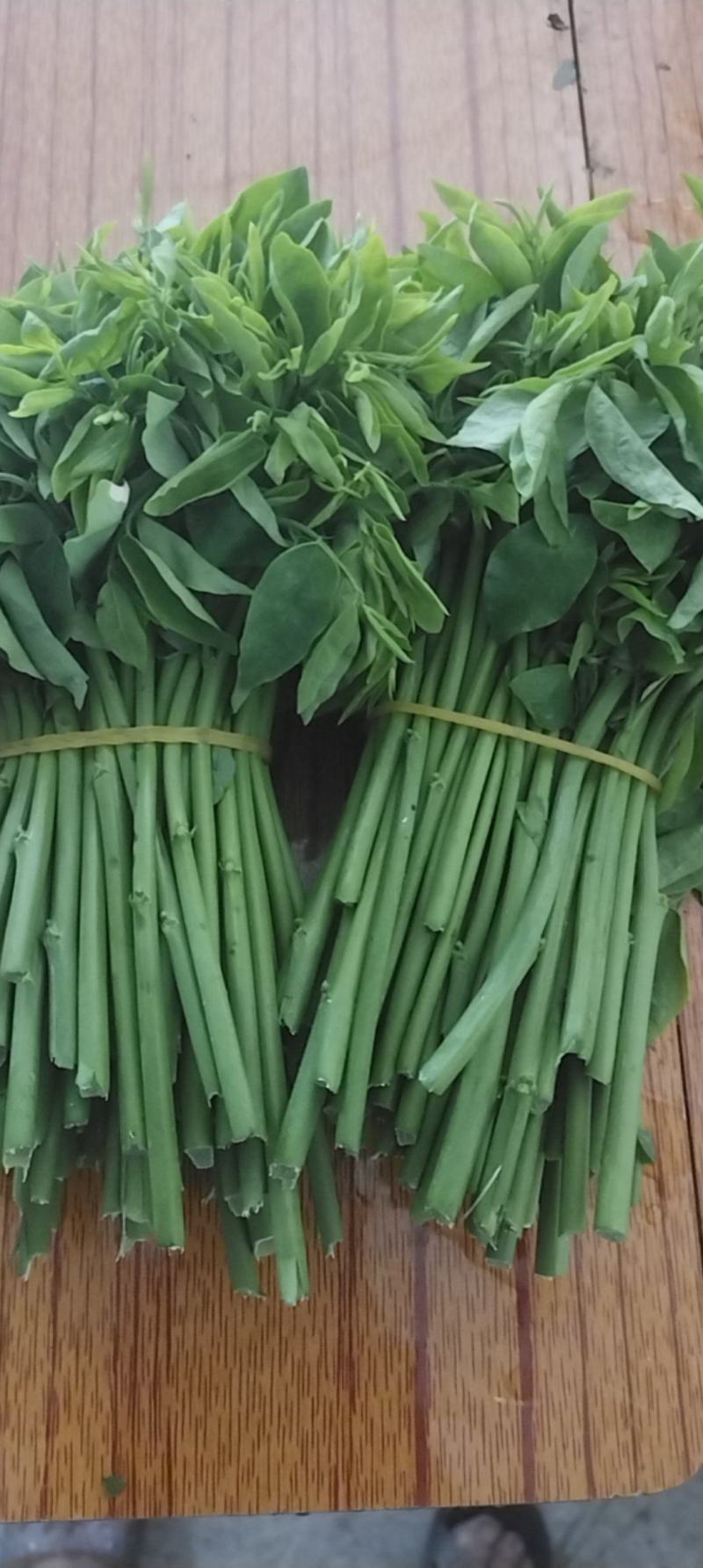 新鲜树仔菜。