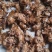 新鲜蝉蜕特卖无杂质24小时在线货源充足